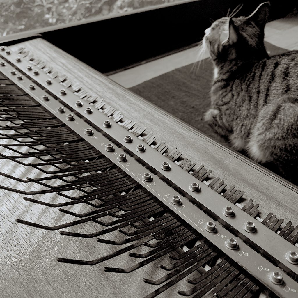 kita-kouhei.net_top-img